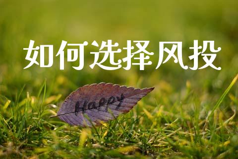 如何选择风投_https://www.fansifence.com_国际期货_第1张