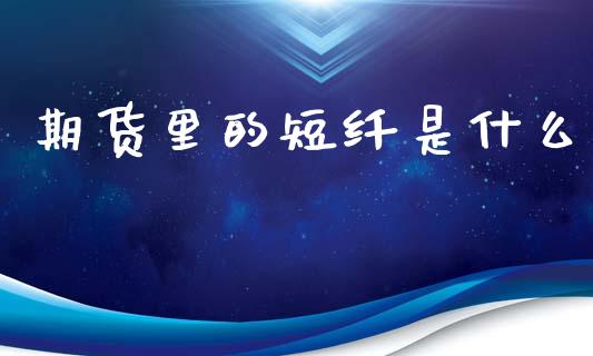 期货里的短纤是什么_https://www.fansifence.com_恒指交易时间_第1张