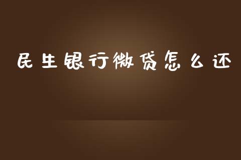 民生银行微贷怎么还_https://www.fansifence.com_恒指交易时间_第1张