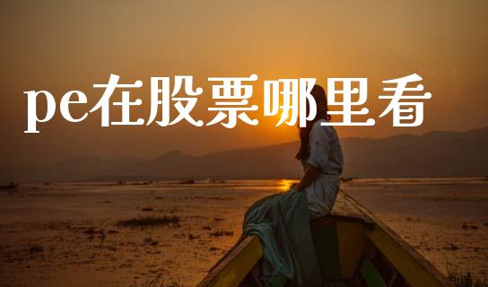 pe在股票哪里看_https://www.fansifence.com_国际期货_第1张