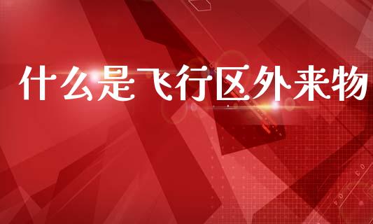 什么是飞行区外来物_https://www.fansifence.com_国际期货行情_第1张