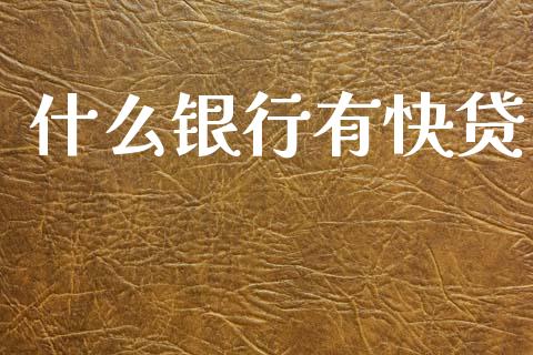 什么银行有快贷_https://www.fansifence.com_中国国际期货_第1张
