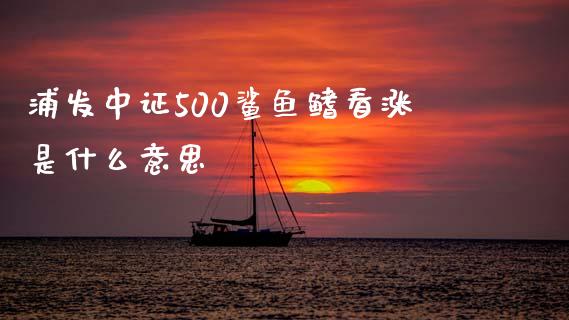 浦发中证500鲨鱼鳍看涨是什么意思_https://www.fansifence.com_中国国际期货_第1张