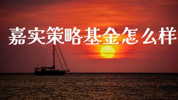 嘉实策略基金怎么样_https://www.fansifence.com_中国国际期货_第1张