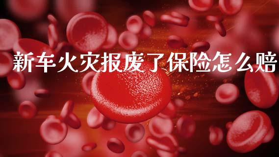 新车火灾报废了保险怎么赔_https://www.fansifence.com_中国国际期货_第1张
