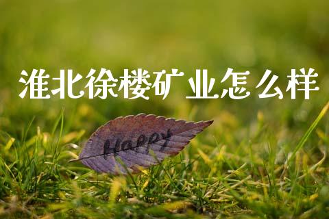 淮北徐楼矿业怎么样_https://www.fansifence.com_国际期货_第1张