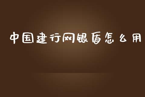 中国建行网银盾怎么用_https://www.fansifence.com_国际期货_第1张