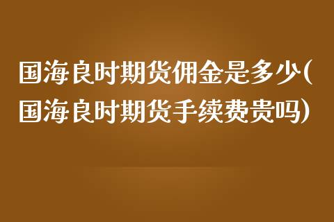 国海良时期货佣金是多少(国海良时期货手续费贵吗)_https://www.fansifence.com_恒指交易时间_第1张