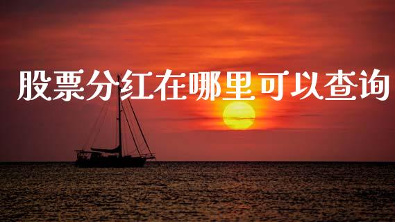 股票分红在哪里可以查询_https://www.fansifence.com_中国国际期货_第1张