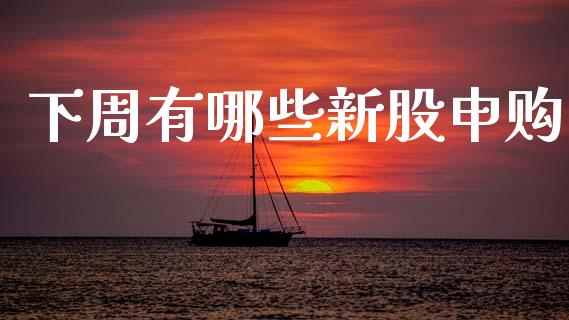 下周有哪些新股申购_https://www.fansifence.com_国际期货行情_第1张