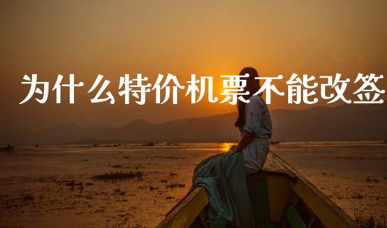 为什么特价机票不能改签_https://www.fansifence.com_中国国际期货_第1张