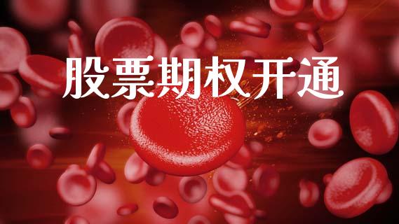 股票期权开通_https://www.fansifence.com_国际期货_第1张