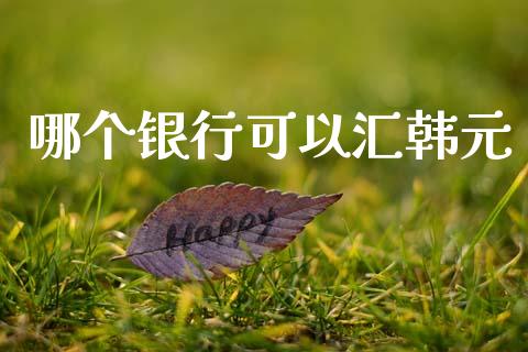 哪个银行可以汇韩元_https://www.fansifence.com_国际期货_第1张