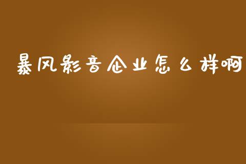 暴风影音企业怎么样啊_https://www.fansifence.com_中国国际期货_第1张