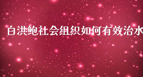 白洪鲍社会组织如何有效治水_https://www.fansifence.com_国际期货_第1张