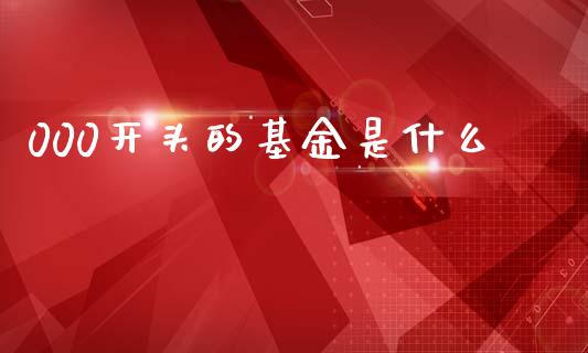 000开头的基金是什么_https://www.fansifence.com_国际期货_第1张