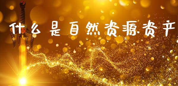 什么是自然资源资产_https://www.fansifence.com_国际期货行情_第1张