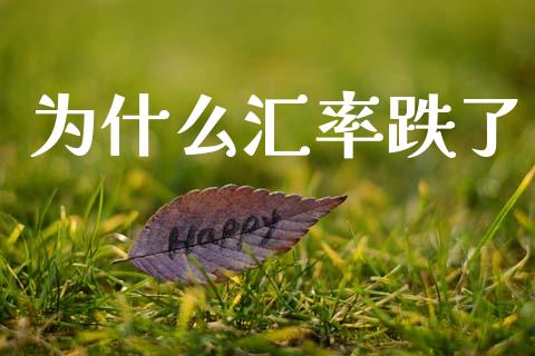 为什么汇率跌了_https://www.fansifence.com_恒指交易时间_第1张