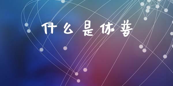 什么是休普_https://www.fansifence.com_中国国际期货_第1张