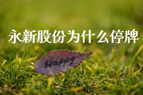 永新股份为什么停牌_https://www.fansifence.com_中国国际期货_第1张