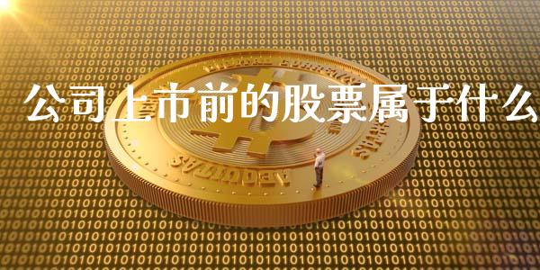 公司上市前的股票属于什么_https://www.fansifence.com_国际期货_第1张
