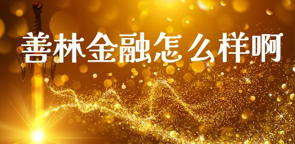 善林金融怎么样啊_https://www.fansifence.com_国际期货行情_第1张