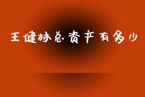王健林总资产有多少_https://www.fansifence.com_中国国际期货_第1张