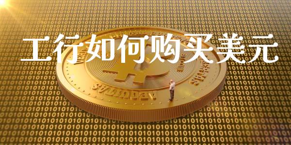 工行如何购买美元_https://www.fansifence.com_恒指交易时间_第1张