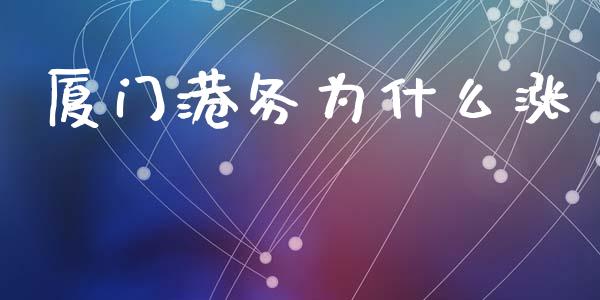 厦门港务为什么涨_https://www.fansifence.com_中国国际期货_第1张