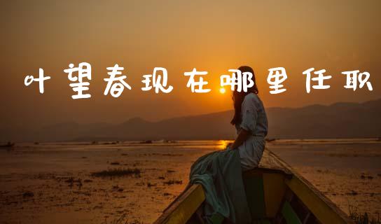 叶望春现在哪里任职_国际期货行情_第1张_国际期货_中国国际期货_恒指交易时间_国际期货行情 叶望春现在哪里任职_https://www.fansifence.com_国际期货行情_第1张