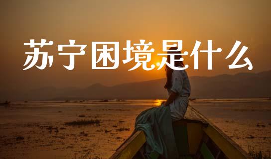 苏宁困境是什么_https://www.fansifence.com_中国国际期货_第1张