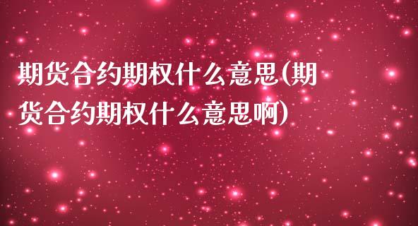期货合约期权什么意思(期货合约期权什么意思啊)_https://www.fansifence.com_国际期货行情_第1张