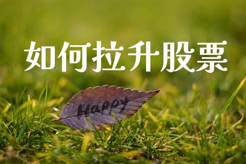 如何拉升股票_https://www.fansifence.com_国际期货行情_第1张