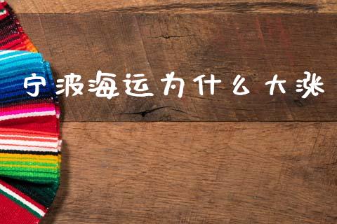 宁波海运为什么大涨_https://www.fansifence.com_国际期货行情_第1张