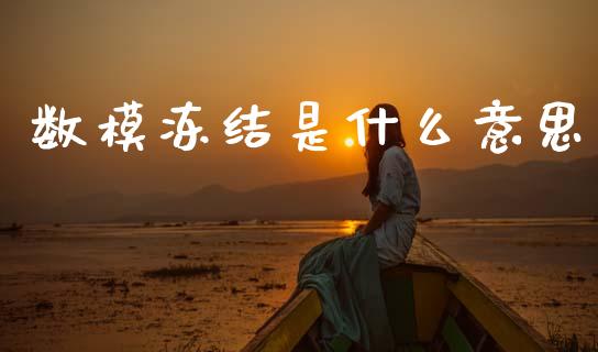 数模冻结是什么意思_https://www.fansifence.com_国际期货_第1张