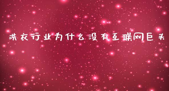 洗衣行业为什么没有互联网巨头_https://www.fansifence.com_国际期货行情_第1张
