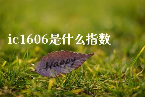 ic1606是什么指数_https://www.fansifence.com_国际期货_第1张