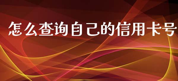 怎么查询自己的信用卡号_https://www.fansifence.com_恒指交易时间_第1张