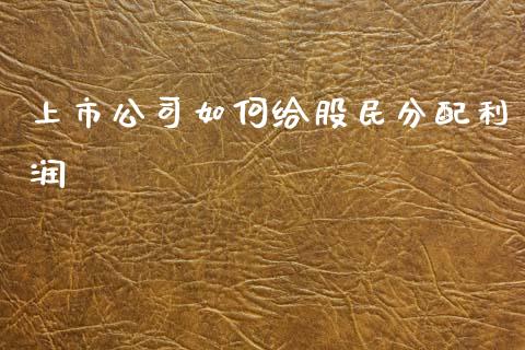 上市公司如何给股民分配利润_https://www.fansifence.com_中国国际期货_第1张