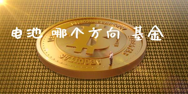 电池 哪个方向 基金_https://www.fansifence.com_中国国际期货_第1张