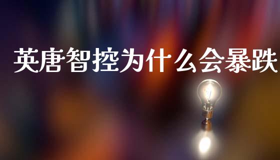 英唐智控为什么会暴跌_https://www.fansifence.com_国际期货_第1张