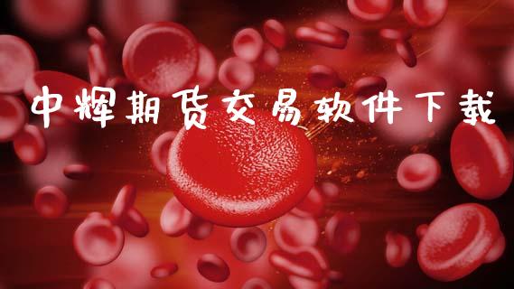 中辉期货交易软件下载_https://www.fansifence.com_中国国际期货_第1张