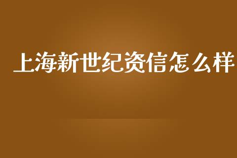 上海新世纪资信怎么样_https://www.fansifence.com_国际期货_第1张