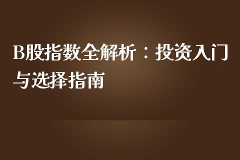 B股指数全解析：投资入门与选择指南_https://www.fansifence.com_国际期货_第1张