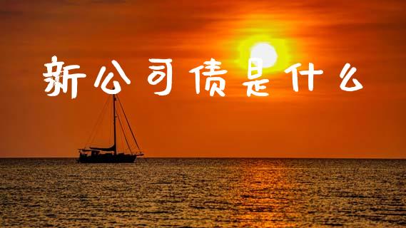 新公司债是什么_https://www.fansifence.com_国际期货_第1张