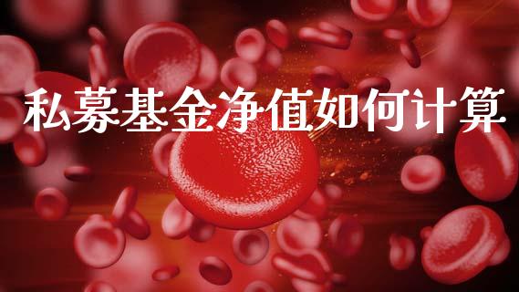 私募基金净值如何计算_https://www.fansifence.com_恒指交易时间_第1张