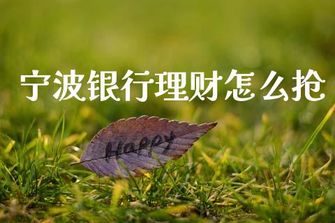 宁波银行理财怎么抢_https://www.fansifence.com_国际期货行情_第1张