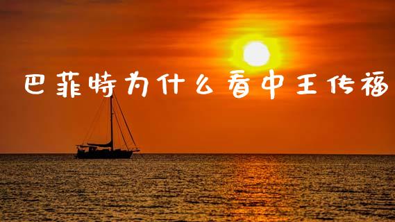 巴菲特为什么看中王传福_https://www.fansifence.com_国际期货行情_第1张