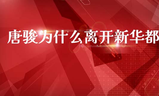 唐骏为什么离开新华都_https://www.fansifence.com_恒指交易时间_第1张