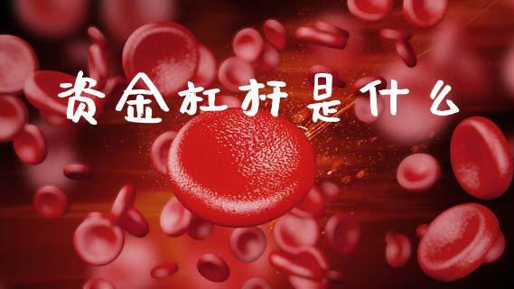 资金杠杆是什么_国际期货_第1张_国际期货_中国国际期货_恒指交易时间_国际期货行情 资金杠杆是什么_https://www.fansifence.com_国际期货_第1张